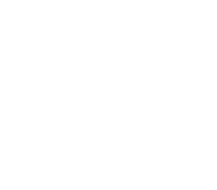 BAPE XXV
