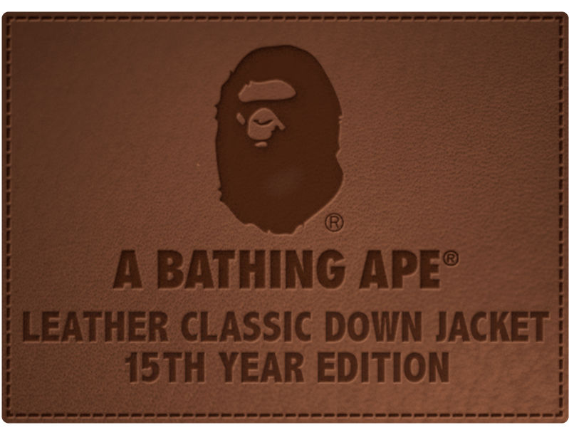 A BATHING APE BACK TO TH FUTURE