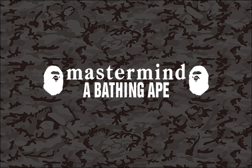 A BATHING APE® ｘ mastermind JAPAN